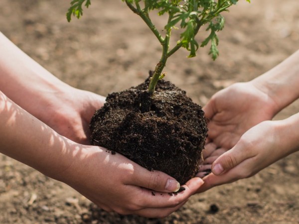 Affirmation: Muditā