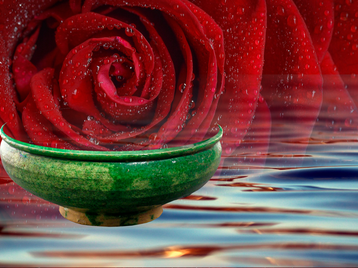 Selbstfürsorge und Selbstliebe